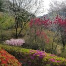 동림식물원