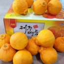 나영농장 쇼핑하우