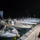 (주)바칸 | 통영 선외기 낚시 후기+통영 회뜰날 잡은 생선 회뜨기 후기