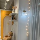 해루의별 이미지