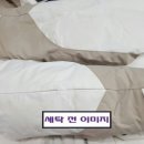 제일세탁기계