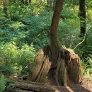 곰아저씨민박 이미지