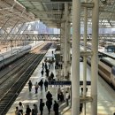 동서울건기(주) | 서울 동대구 KTX, KTX 산천 특실 비교 후기 - 좌석, 콘센트, 옷걸이, 쿠키 물 제공 정보