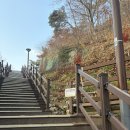 장태산휴양림 | 장태산 자연휴양림 실시간 단풍 명소 후기, 메타세콰이어길 포토존 꿀팁