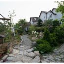 다로산 스파펜션 네이버블로그