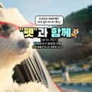 메가투어주
