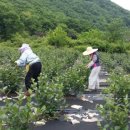 새순2농장 이미지