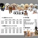 여기오개 이미지