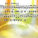 (주)오가 티스토리
