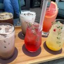 소나무카페(소나무관광농원) 이미지