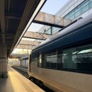 대구→묵호 , 묵호→대구 누리로 후기｜창밖으로 동해바다 보이는 좌석 꿀팁