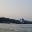 거진시장 이미지