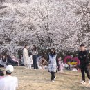 의왕시청 이미지