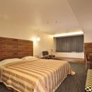 호텔리젠시 나이트 이미지