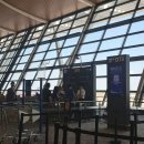 OZ | 상하이 푸동공항 국제선 이용 후기｜아시아나 OZ 362 후기