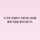 분당-24 이미지