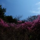 진양화원 이미지