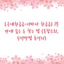 대건정보통신 | [국세환급금·더바다 환급금] 1분 만에 숨은 돈 찾는 법 (통합조회, 수령방법 총정리)