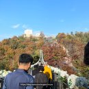 애기봉평화생태공원 | 서울 근교 아이와 가볼만한 곳｜김포 애기봉 평화생태공원 후기 (신분증 필수!) ⭐⭐⭐⭐⭐