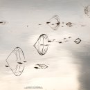 화포천생태습지공원 이미지