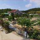 남하1리 이미지