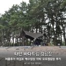 VIP오토캠핑장 | 충남 태안 바다드림 캠핑장, 여름휴가 해루질 마검포 해수욕장 오토캠핑장 후기