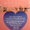 감성그루밍 | 육아 / 감성 이유식템 로코유 럭키박스 구매후기, 구성품