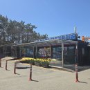 윤희네백숙