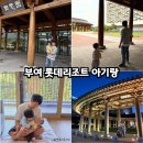 롯데리조트부여와 함께하는 부여 감성야행 | 부여 롯데리조트 아기랑 콘도 취사형 숙소 어메니티와 예약할인 정보꿀팁