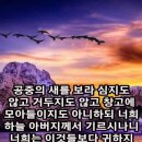보라창고