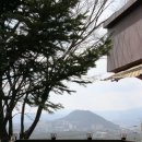 구봉산전망대 이미지