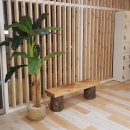 엘리트복싱다이어트 이미지