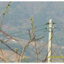 산청시외버스터미널 이미지