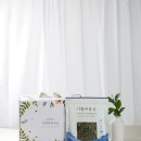 시월애봄날