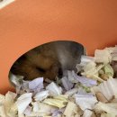 안양-박달-박달-502 이미지