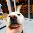 강산동물병원 이미지