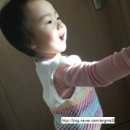 베스트서진