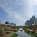 3 월 31 일(금) 성내천/올림픽공원/석촌호수/벚꽃길 이미지