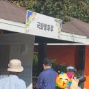 영암댁 Daum카페