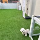 경기도 수원시 팔달구 효원로219번길 48 (인계동) 이미지