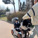 전동백화점 | 디트로네S 전동유아차 유모차 결합 후기 애둘맘 병원,장보기 필수템