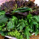 현대뚝배기쌈밥 이미지