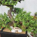 신목농장 이미지