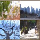 27)04. 莊子장자 雜篇잡편 第27篇 寓言(우언)(第04章)/관광객 세금,최장기 집권,'로먼',"대피하라",K-컬처,K-웹툰,‘反서방 이미지
