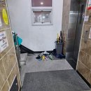 용인대 정심태권도 이미지