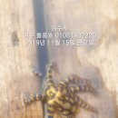 여수앞바다 서울신문