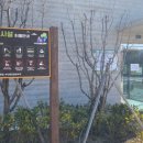 감천할머니 이미지