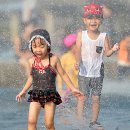 개구장이 이미지