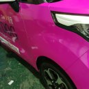 아임독 애견샵 이미지