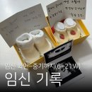 화담메디 | 임신 확인~중기(6W~21W) 기록! 태몽, 각도법 성별 반전, 임밍아웃, 수원 분만병원 조리원 추천, 입덧...